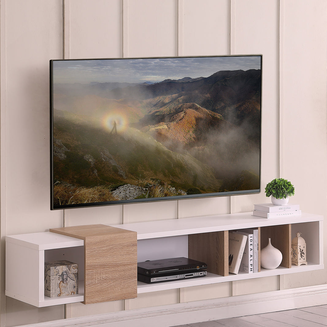 Wall Mount Entertainment Units